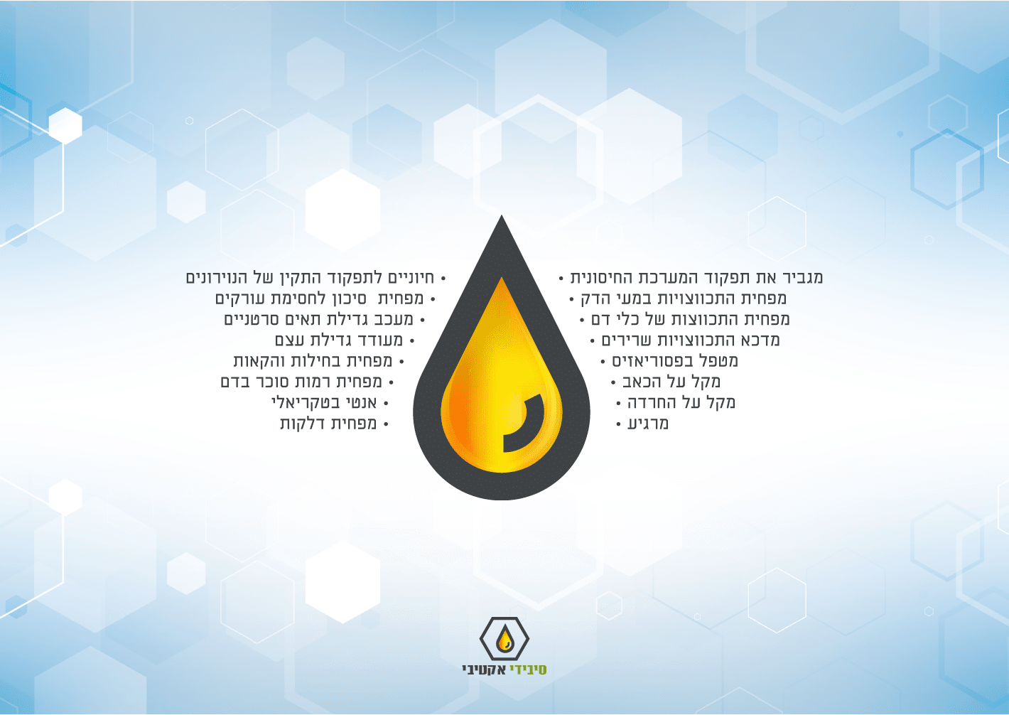 עיצוב ברושור מותג CBD Active – מיתוג גרפי למוצרי CBD