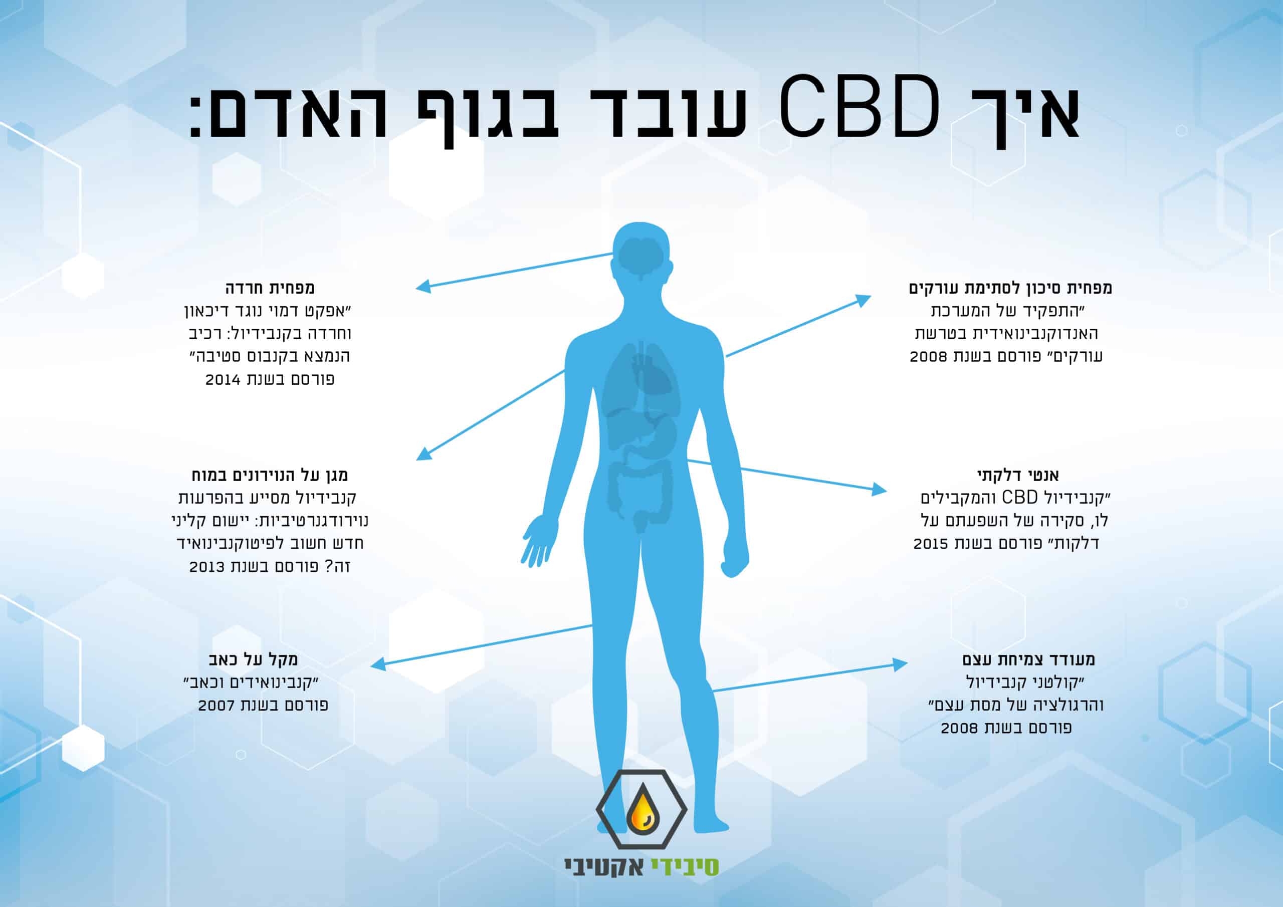 עיצוב ברושור מותג CBD Active – מיתוג גרפי למוצרי CBD