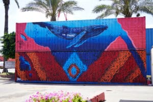 ציור על מכולה – אמנות רחוב מותאמת לעסקים ולחללים ציבוריים