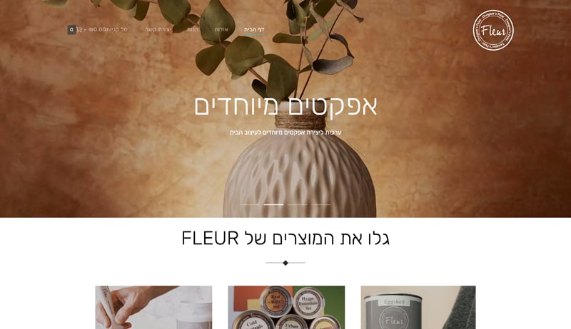 פרויקט 11