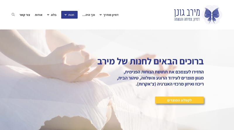 פרויקט 10