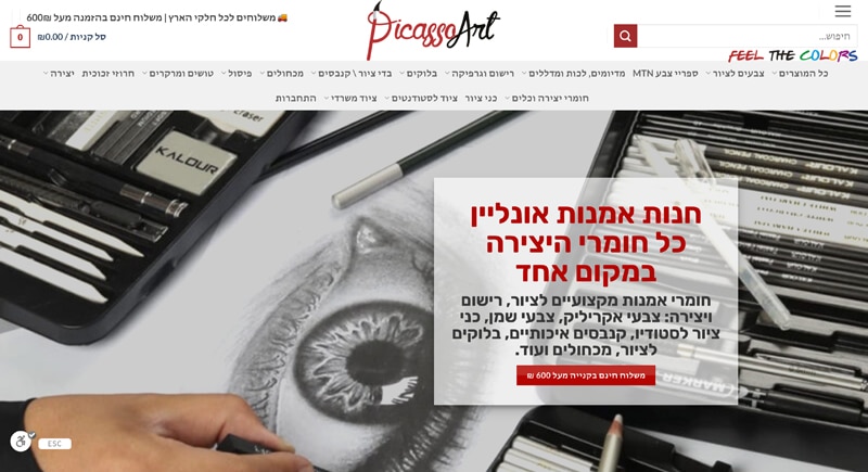 פרויקט 13