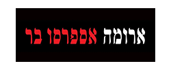 לוגו 4